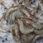 κατεψυγμένες-γαρίδες-