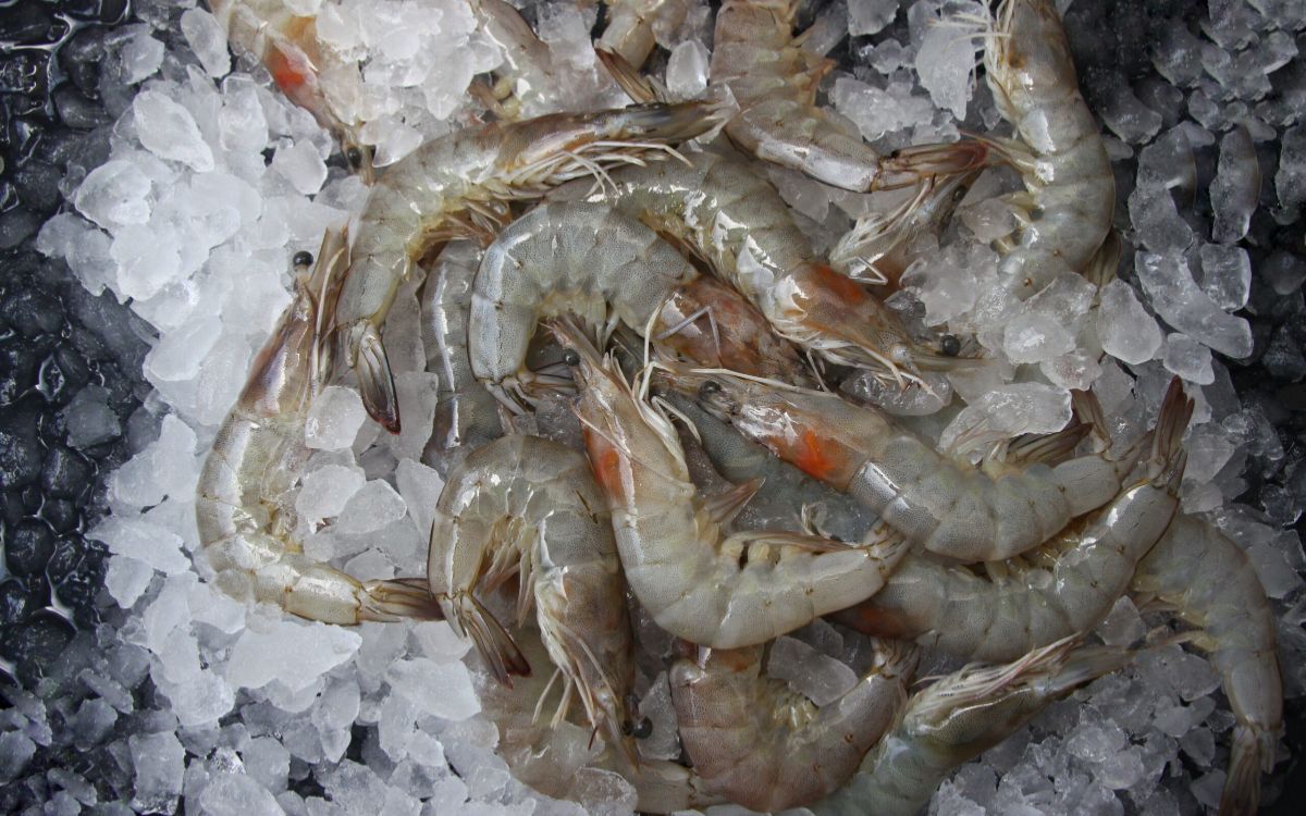 κατεψυγμένες-γαρίδες-