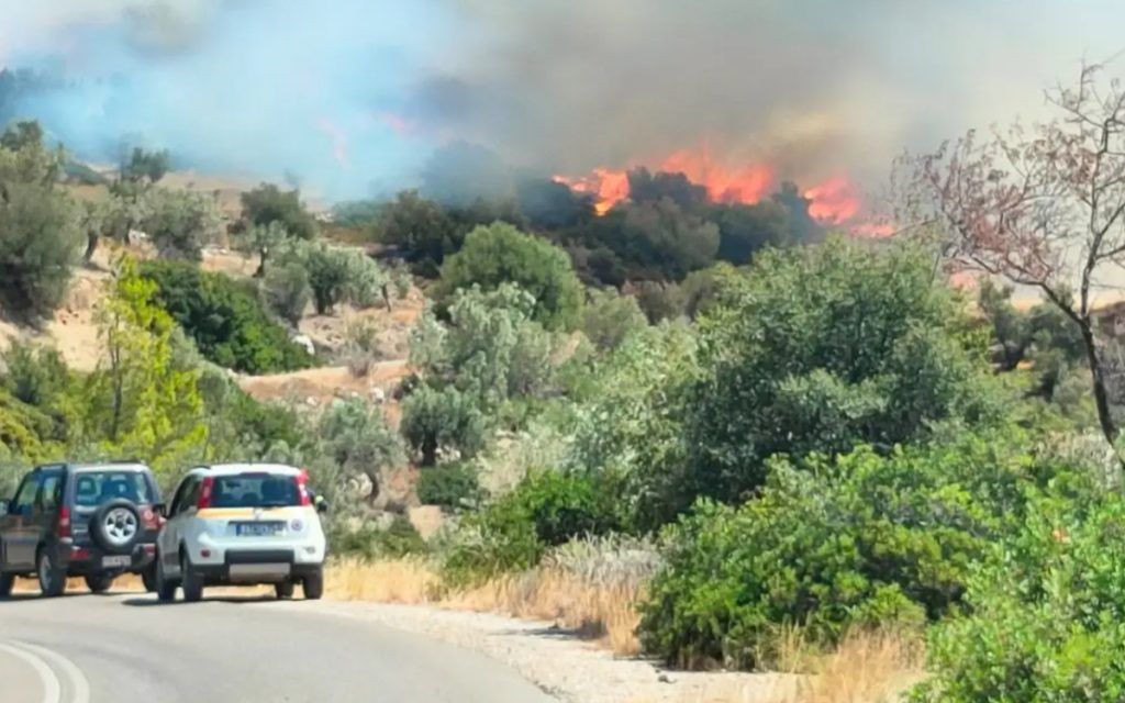 Συναγερμός στη Βοιωτία: Ξέσπασε ισχυρή φωτιά - Ήχησε το 112