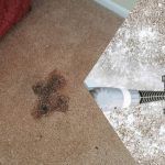 χαλιά-μυστικά-καθαριότητας-