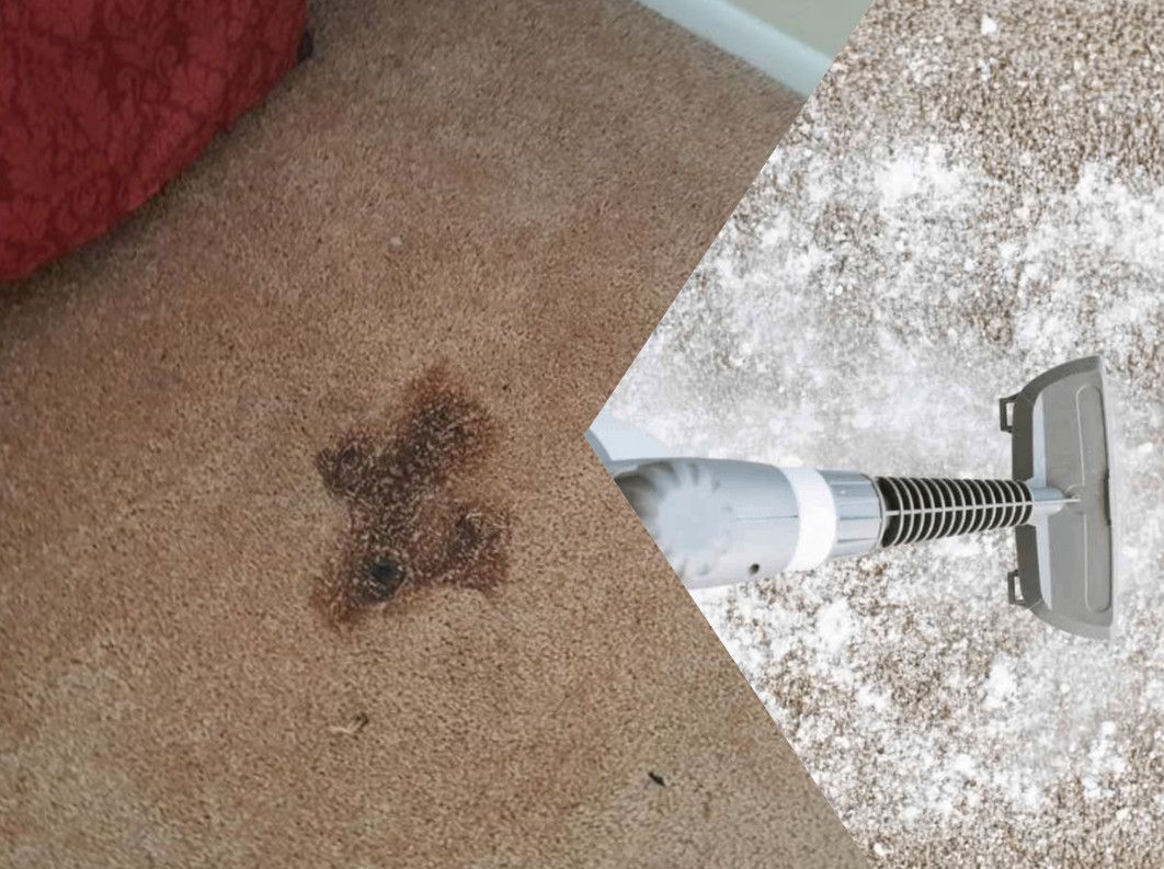 χαλιά-μυστικά-καθαριότητας-