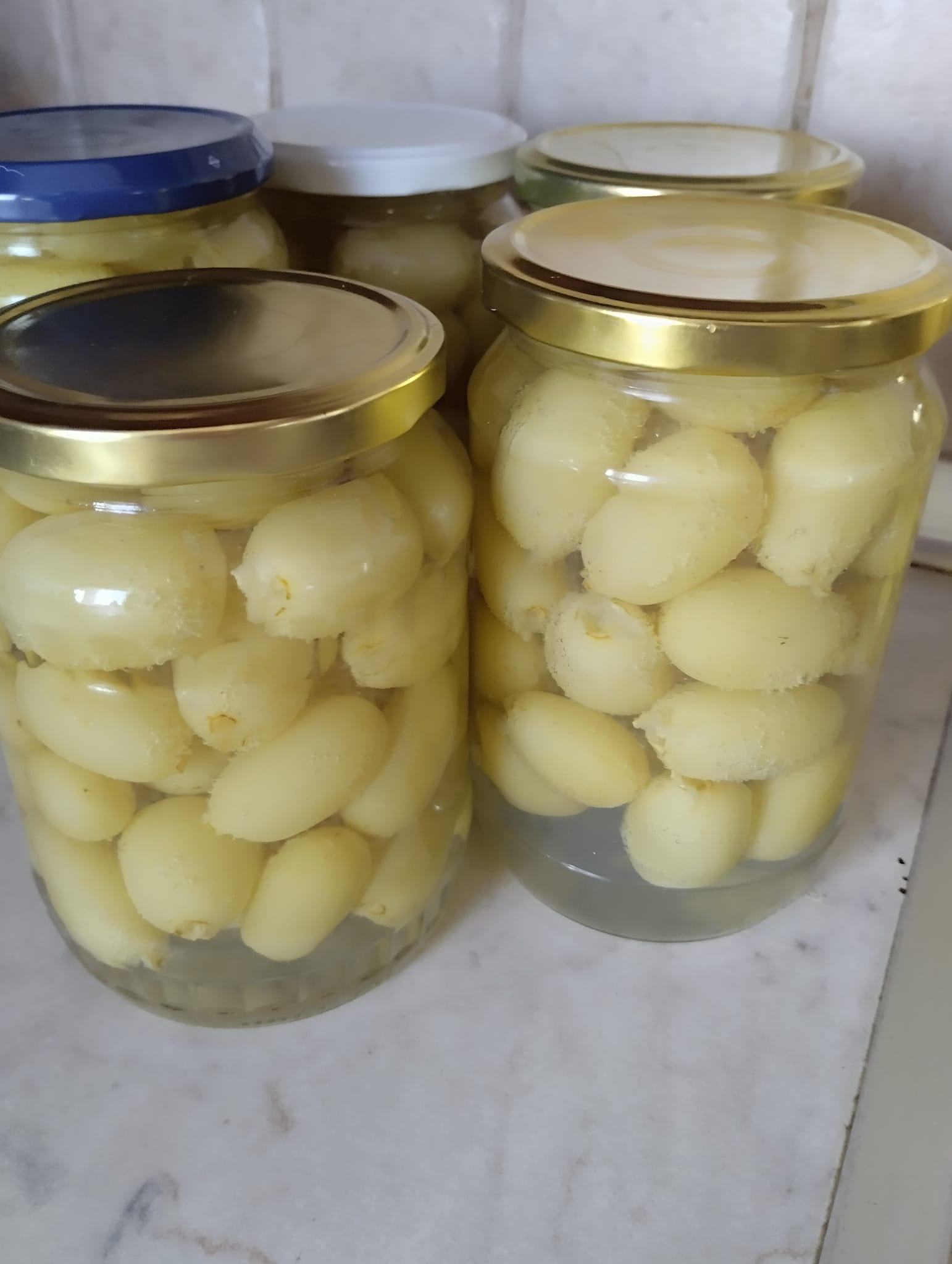 σταφύλι-στο-βάζο- σταφύλι-στο-βάζο-