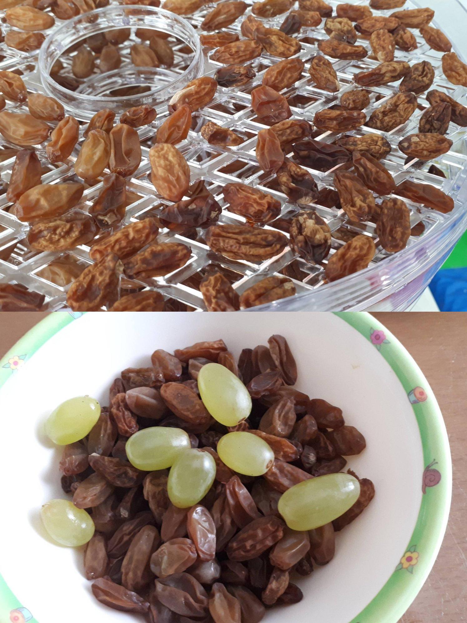 σταφίδες- σταφίδες-