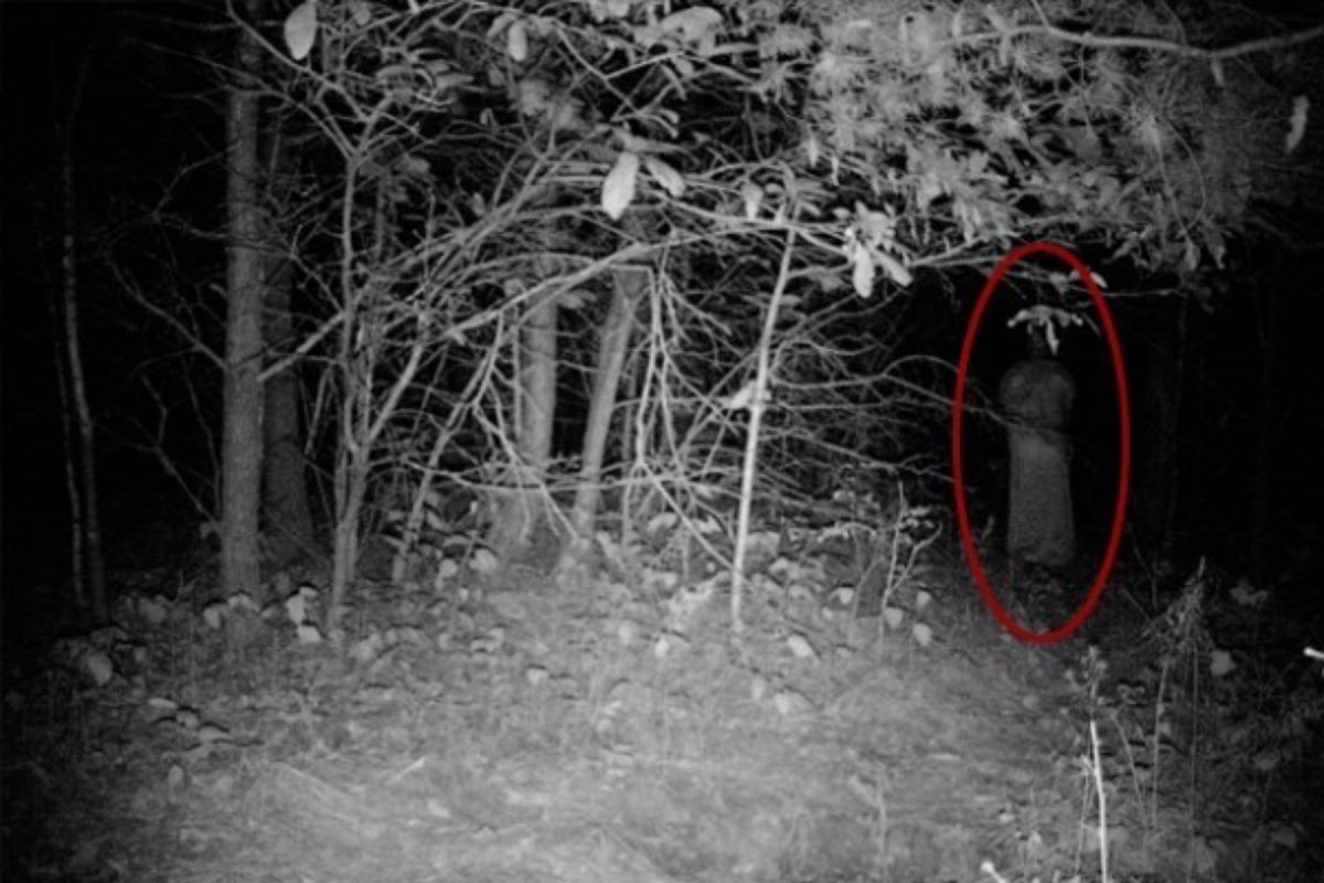 Ανατριχίλα: Κάμερα Tesla καταγράφει ψυχές έξω από νεκροταφείο - Βίντεο