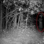 Ανατριχίλα: Κάμερα Tesla καταγράφει ψυχές έξω από νεκροταφείο - Βίντεο