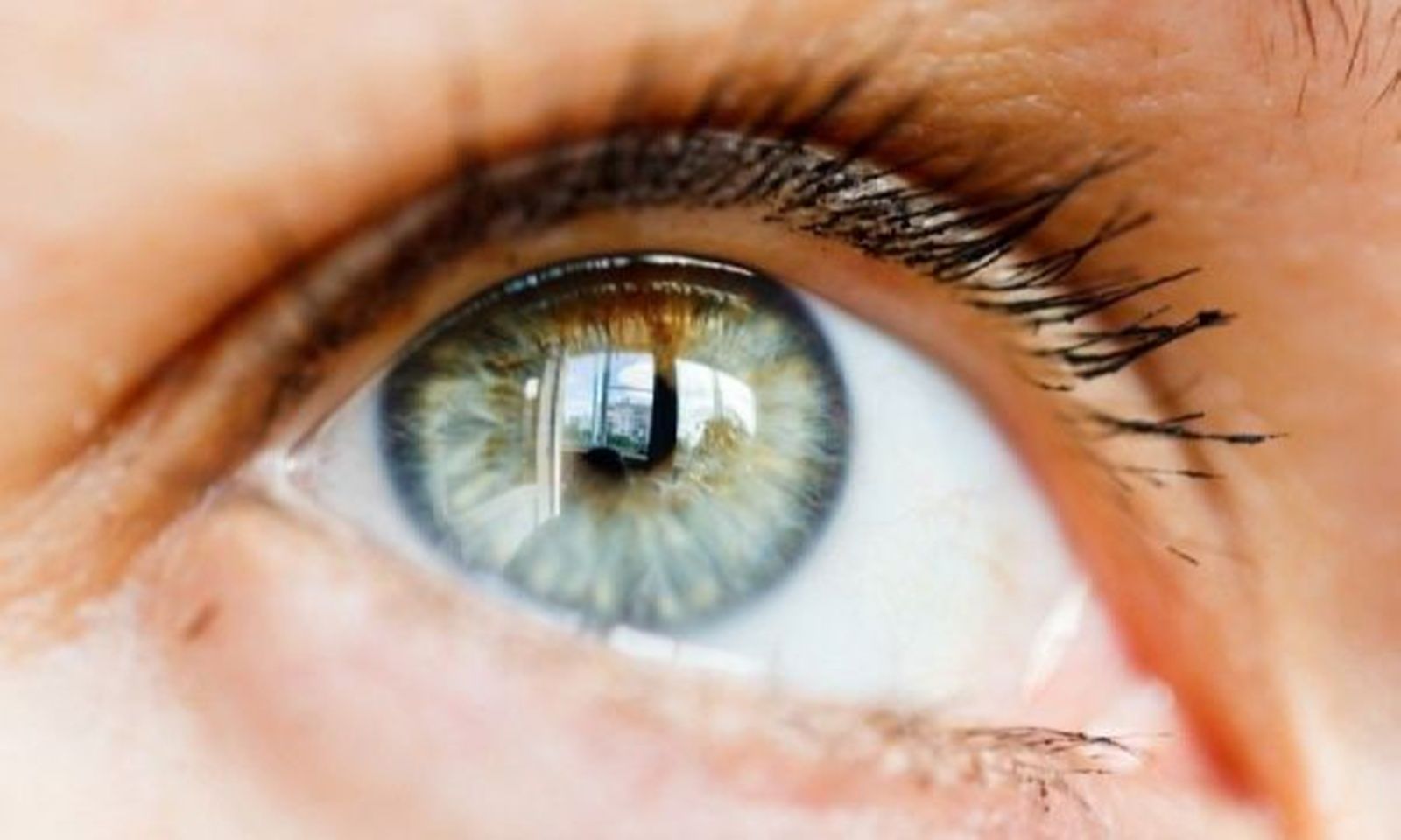 Από πού βγήκε η φράση "χάρμα οφθαλμών"