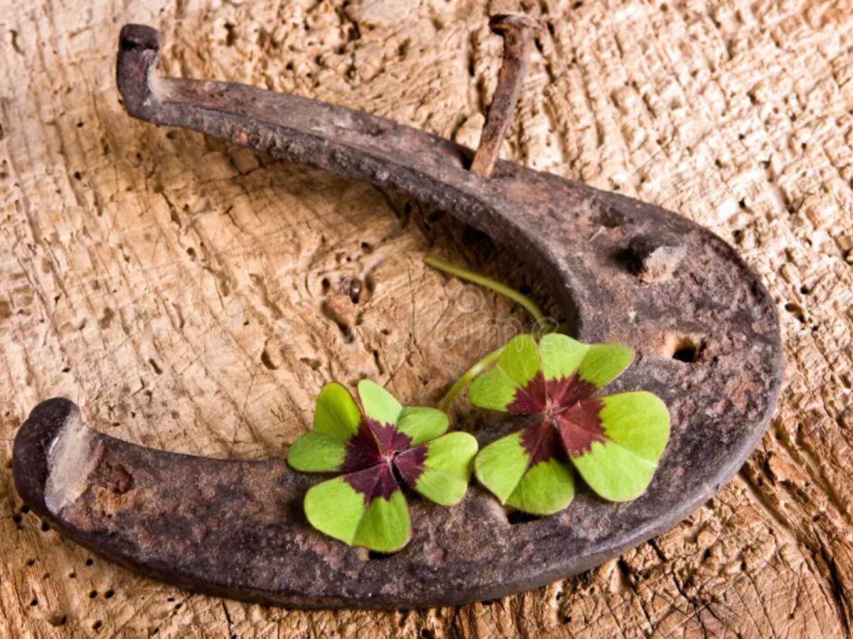 Αστρολογικές προβλέψεις Σεπτεμβρίου 2025: Τα ζώδια που κερδίζουν χρήματα & εκείνα που μένουν με άδειες τσέπες