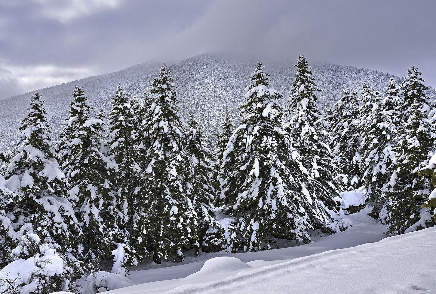 Βουτύρο- Βουτύρο-