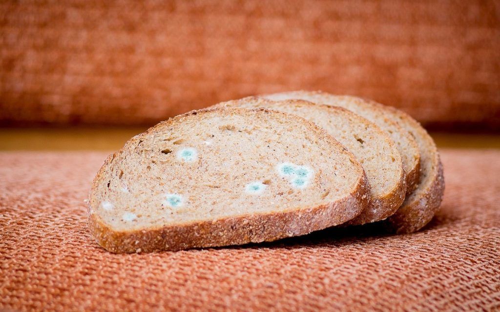 Ευρωπαϊκός συναγερμός -Ανακαλείται μουχλιασμένο ψωμί που πωλείται σε μεγάλα σούπερμαρκετ