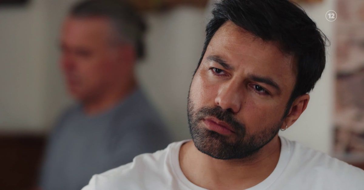 Η-γη-της-ελιάς-Στέφανος- Η-γη-της-ελιάς-Στέφανος-