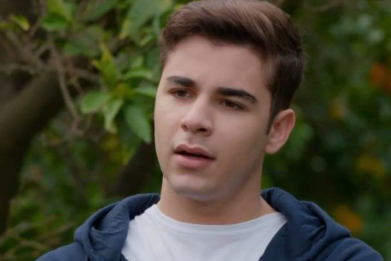 Η-Γη-της-Ελιάς-Παρασκευάς Η-Γη-της-Ελιάς-Παρασκευάς