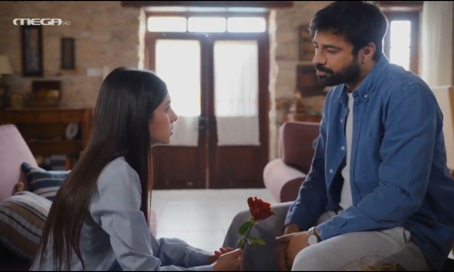 Η Γη της Ελιάς-Στέφανος-Βασιλική