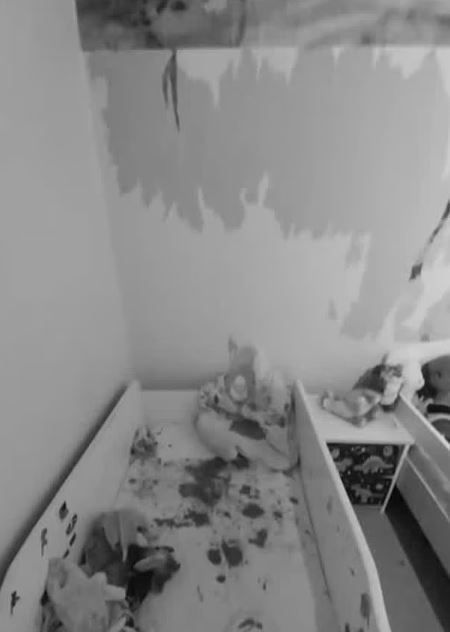 Γιγάντιος αρουραίος επιτέθηκε σε 2χρονο αγόρι και του έφαγε το αυτί μέσα στο σπίτι του (Φωτογραφία)