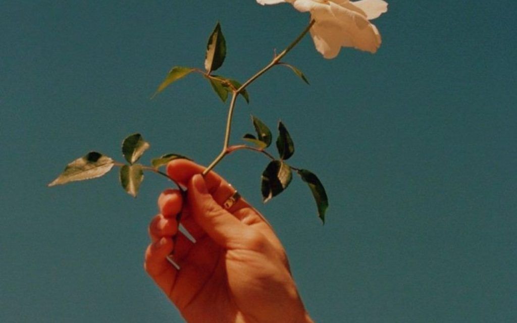 χέρι-που-κρατάει-τριαντάφυλλο-