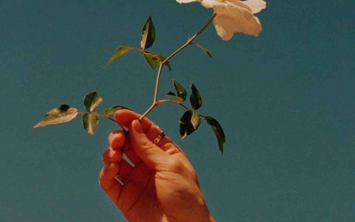 χέρι-που-κρατάει-τριαντάφυλλο-