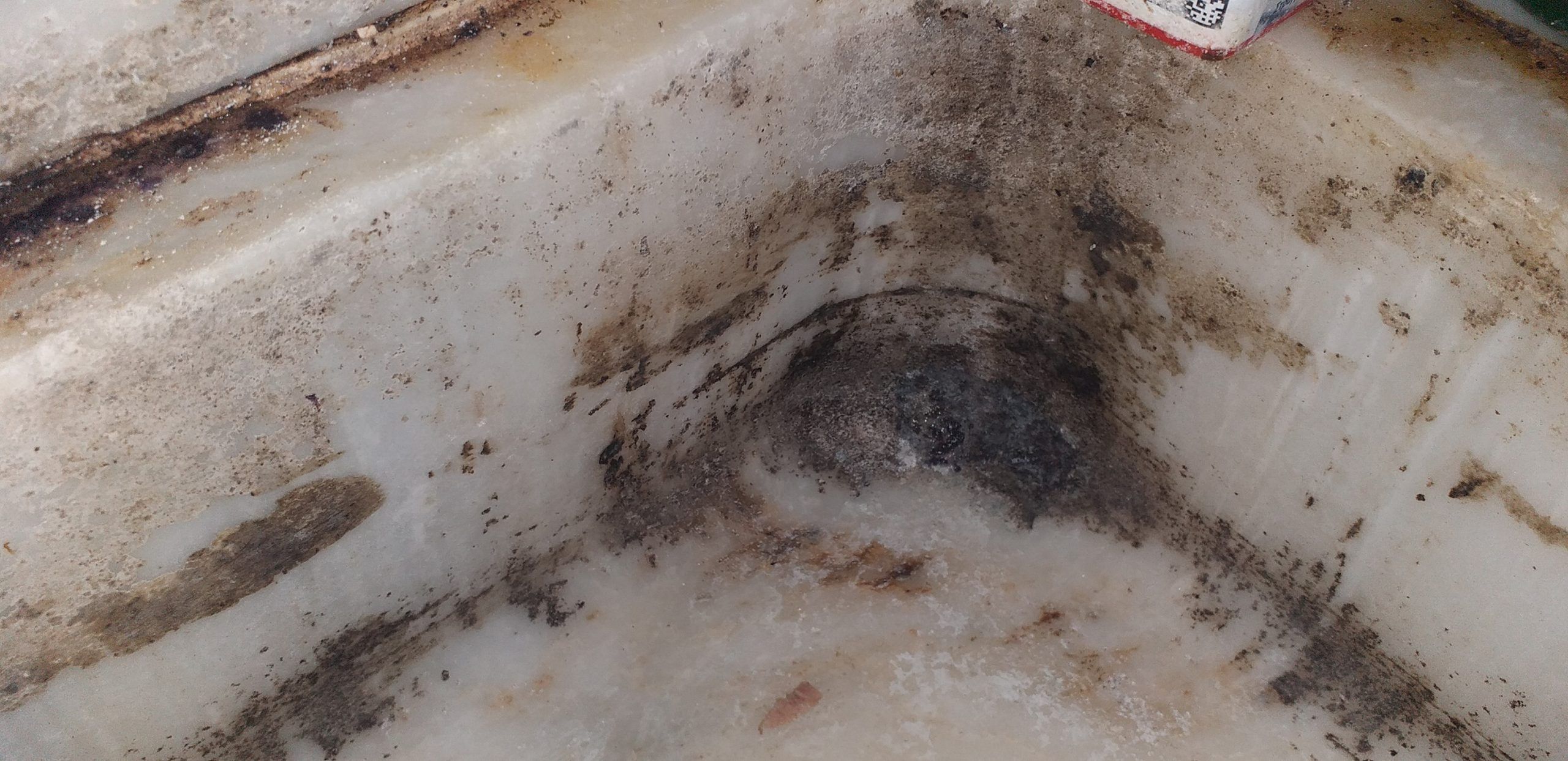 μαύρη-μούχλα-