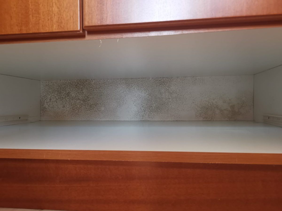 Μούχλα στο εσωτερικό της ντουλάπας