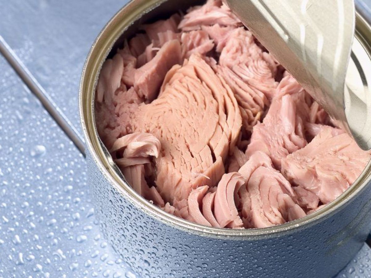 Συναγερμός στα σχολικά γεύματα: Απαγόρευση της κατανάλωσης τόνου από παιδιά- Είναι καρκινογόνος και τοξικός