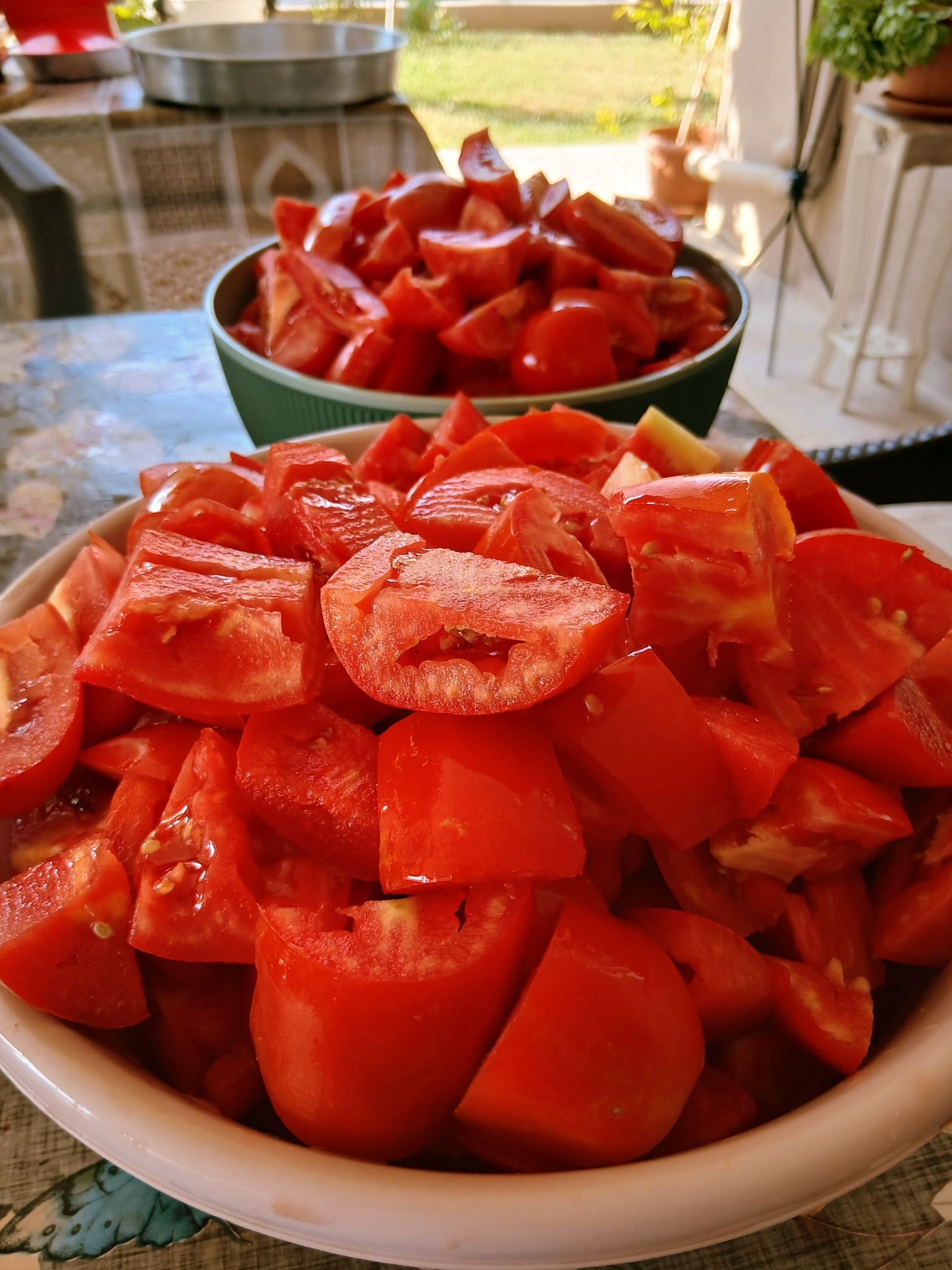 Συνταγή για παραδοσιακό ντοματοπελτέ ψημένο