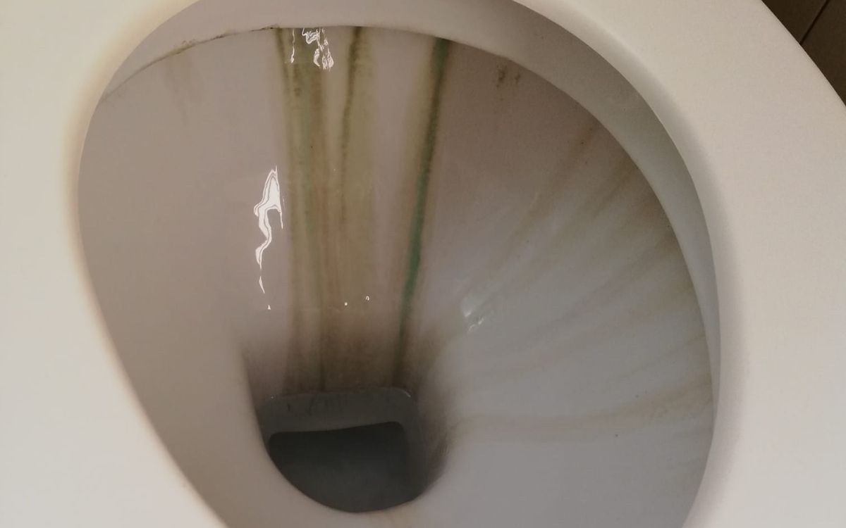 λεκάνη-με-πράσινο-πουρί-