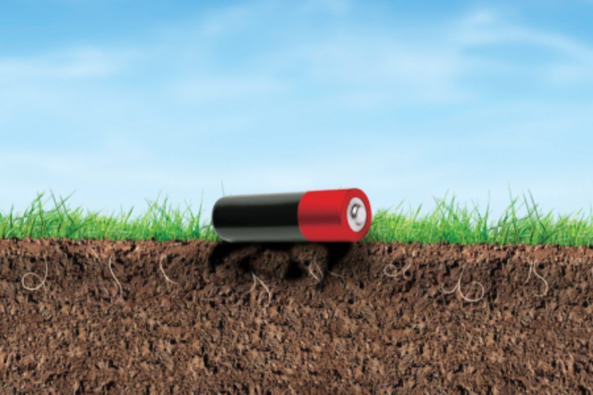 Το Μεγάλο Λάθος που Κάνεις με τις Μπαταρίες – Πολύ Σοβαρό για το Περιβάλλον