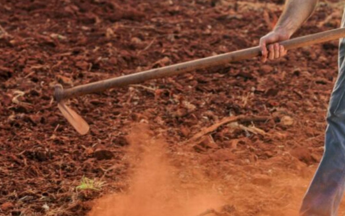 Βοιωτία: Γυναίκα έθαψε τη μητέρα της στην αυλή για να παίρνει τη σύνταξή της