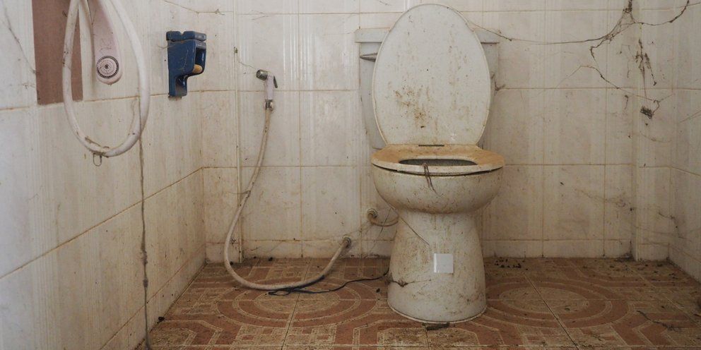 Αυτό το μείγμα χρησιμοποιώ για να κάνω τη λεκάνη μου να λάμπει με 0 ευρώ