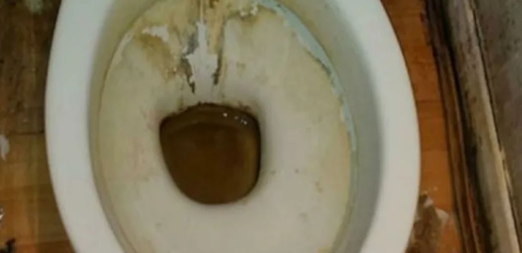 Αυτό το μείγμα χρησιμοποιώ για να κάνω τη λεκάνη μου να λάμπει με 0 ευρώ