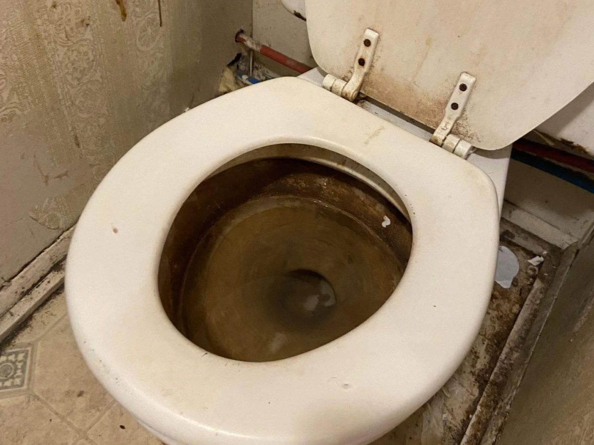 Αυτό το μείγμα χρησιμοποιώ για να κάνω τη λεκάνη μου να λάμπει με 0 ευρώ