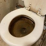 Αυτό το μείγμα χρησιμοποιώ για να κάνω τη λεκάνη μου να λάμπει με 0 ευρώ