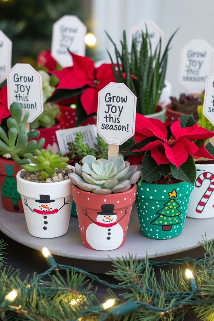 γλαστράκια-με-παχύφυτα-για-τα-Χριστούγεννα-