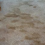 λεκές-σε-μπεζ-χαλί-