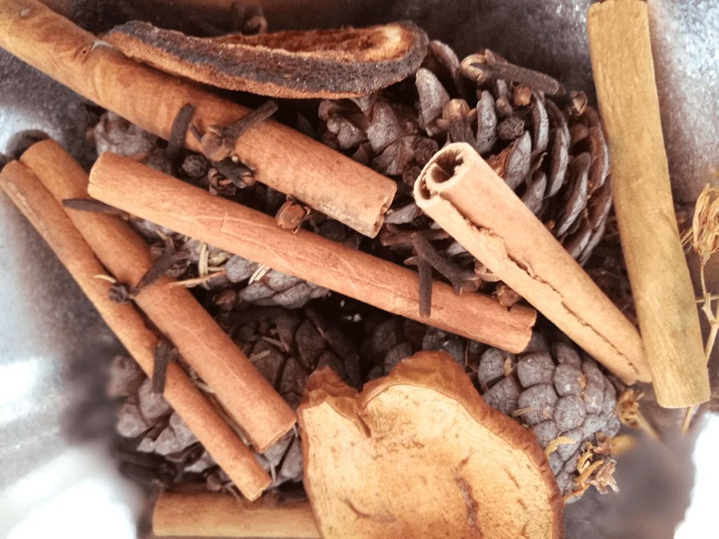 Έξυπνα Κόλπα για να Μυρίζει το Σπίτι σου Υπέροχα Χωρίς Αρωματικά Χώρου