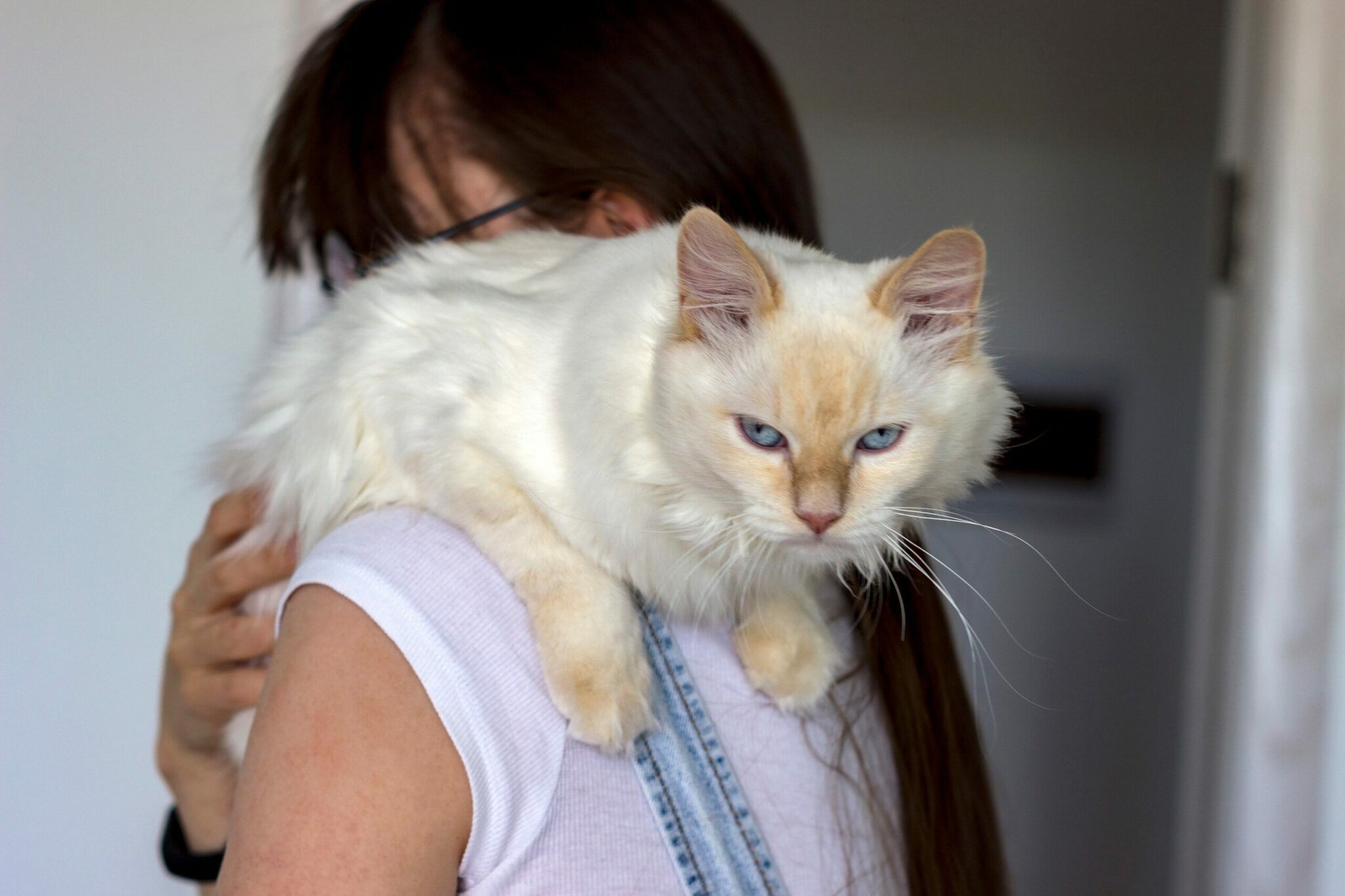 γάτα-στην-αγκαλιά-