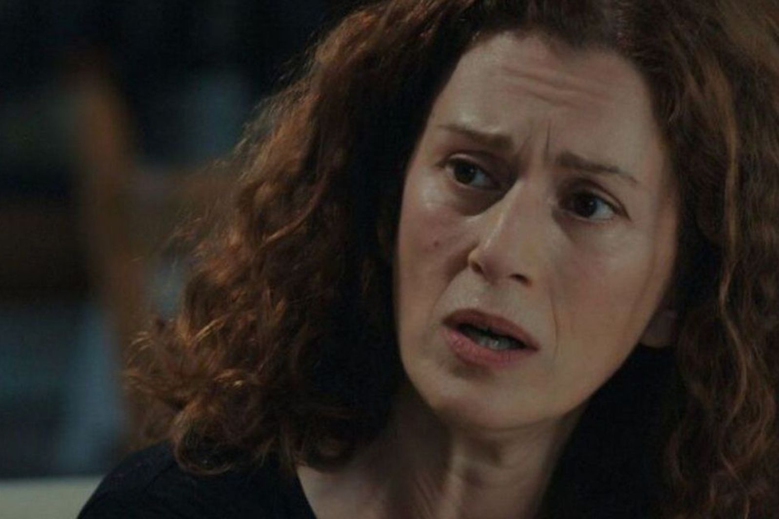 Η Γη της Ελιάς-Χάιδω 