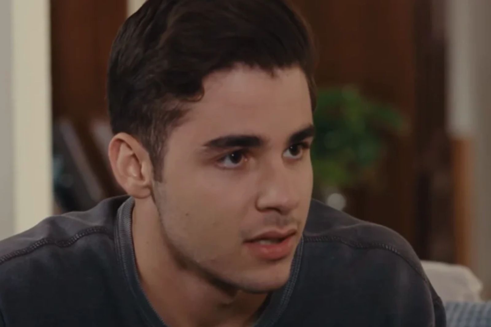 Η Γη της Ελιάς-Παρασκευάς Η Γη της Ελιάς-Παρασκευάς