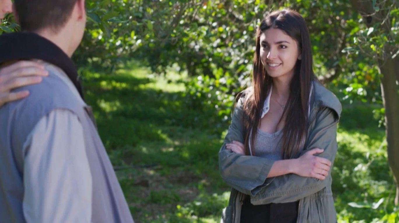 Η Γη της Ελιάς-Βασιλική