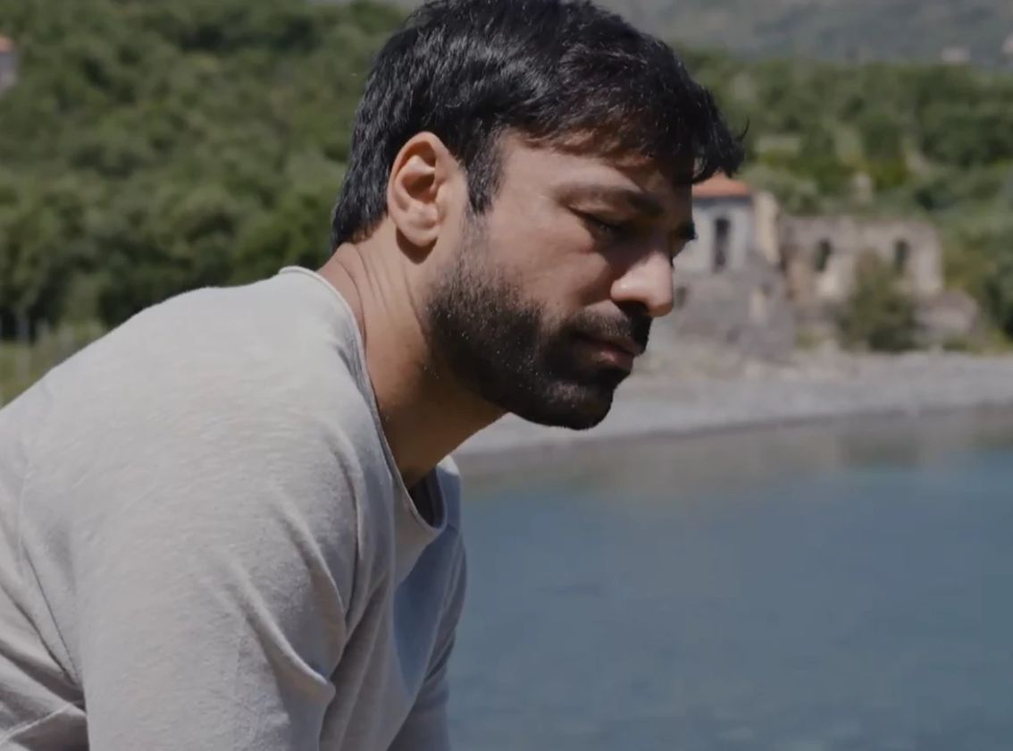 Η Γη της Ελιάς-Στέφανος-