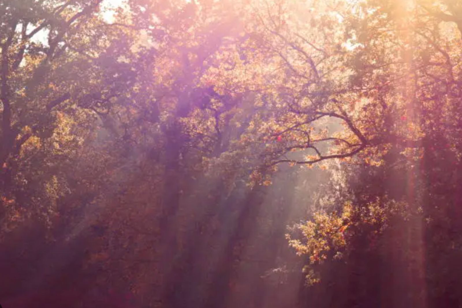 Οκτώβριος 2025: Το αστρολογικό σκηνικό του μήνα χαρίζει μεγάλες επιτυχίες σε αυτά τα ζώδια