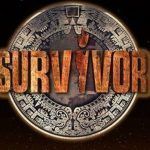 survivor-