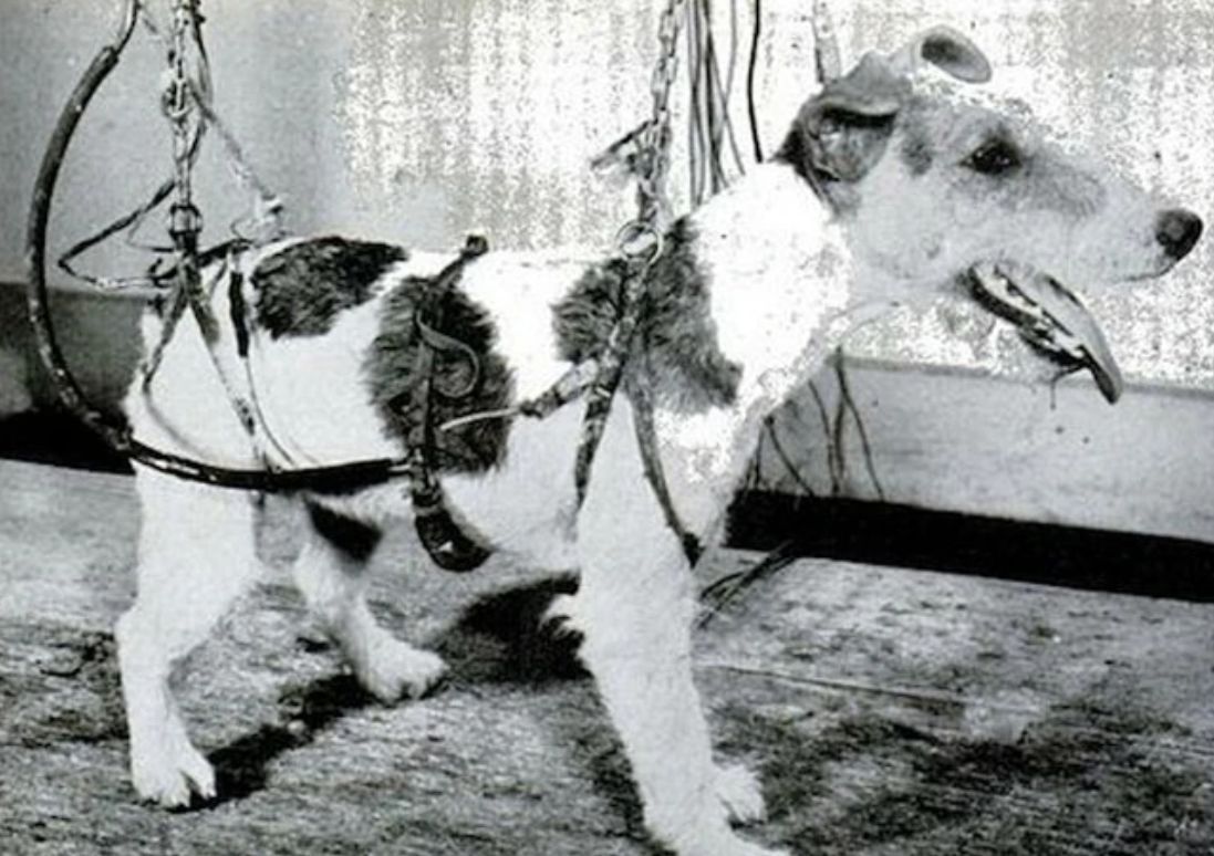 Τα πιο απάνθρωπα πειράματα που έγιναν στο...όνομα της επιστήμης