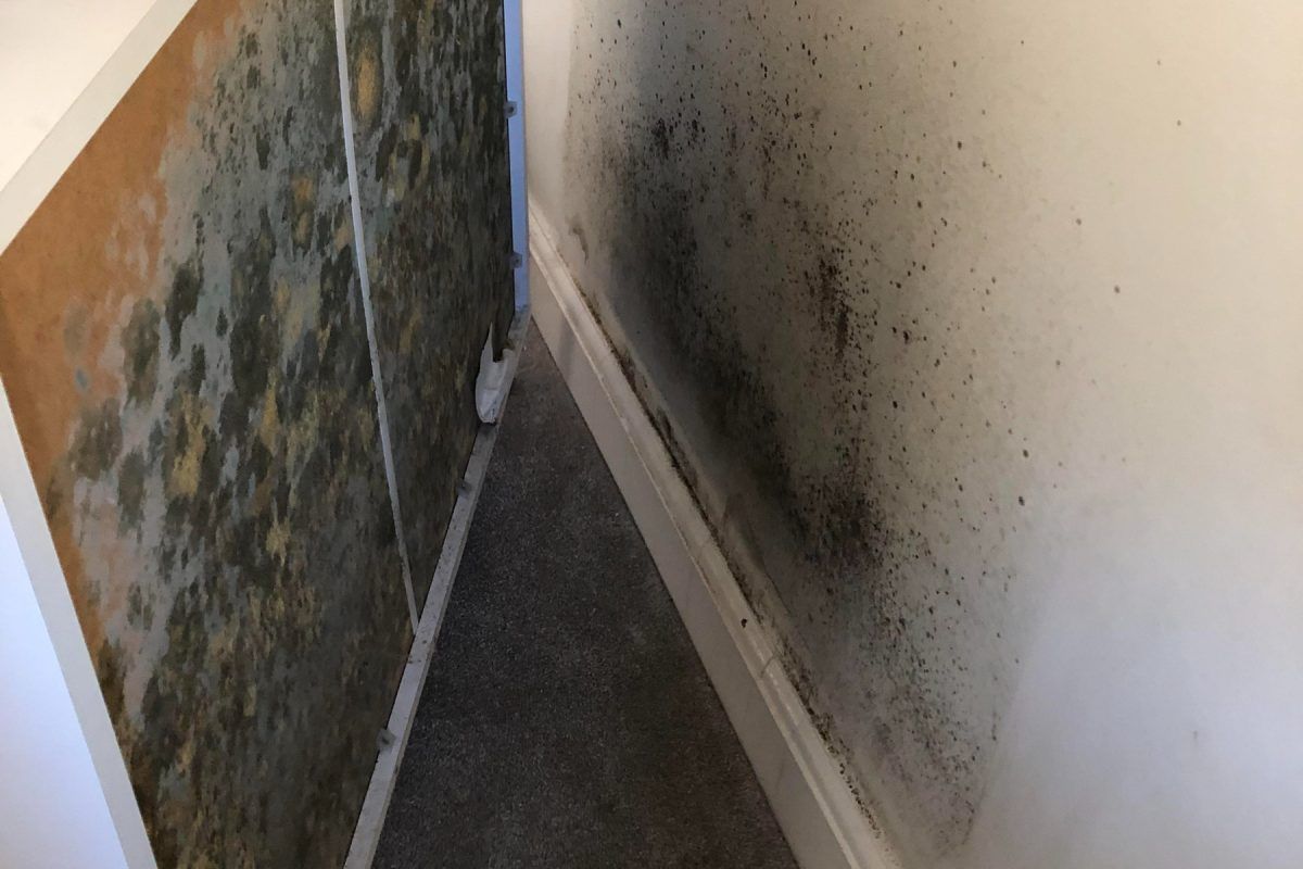 Το έξυπνο κόλπο της μαμάς μου για να μην έχει υγρασία το σπίτι χωρίς αφυγραντήρα