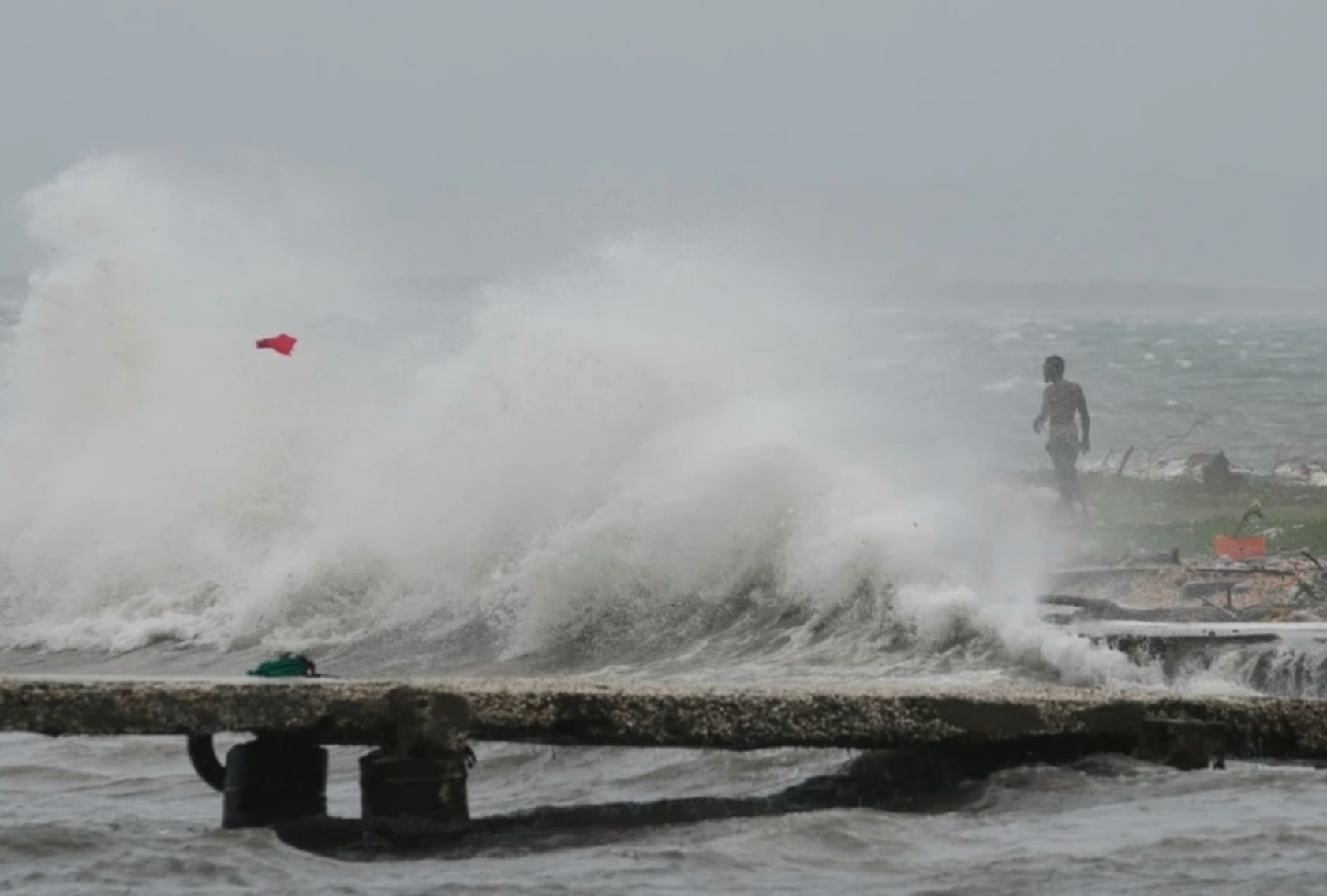 Τυφώνας «Μελίσσα»: Συναγερμός έχει σημάνει για κροκόδειλους στους δρόμους - Εικόνες αποκάλυψης