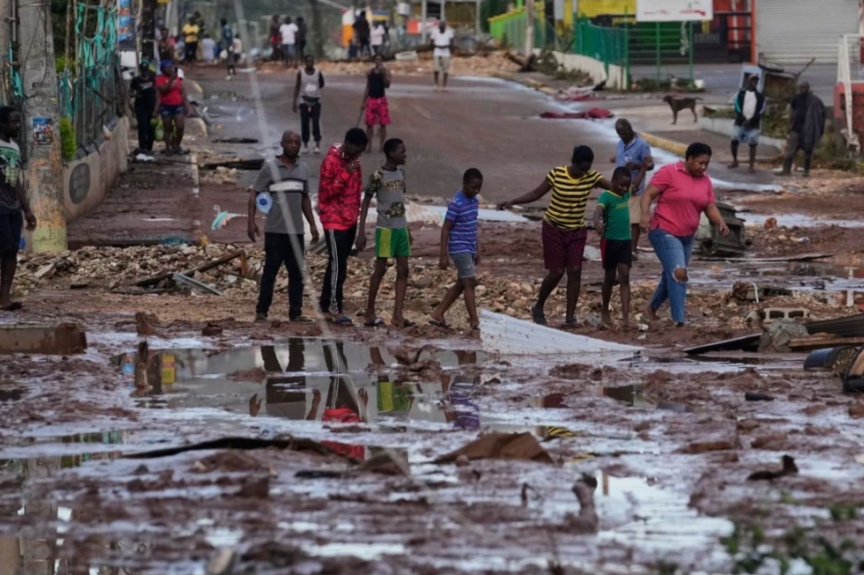 Τυφώνας «Μελίσσα»: Συναγερμός έχει σημάνει για κροκόδειλους στους δρόμους - Εικόνες αποκάλυψης