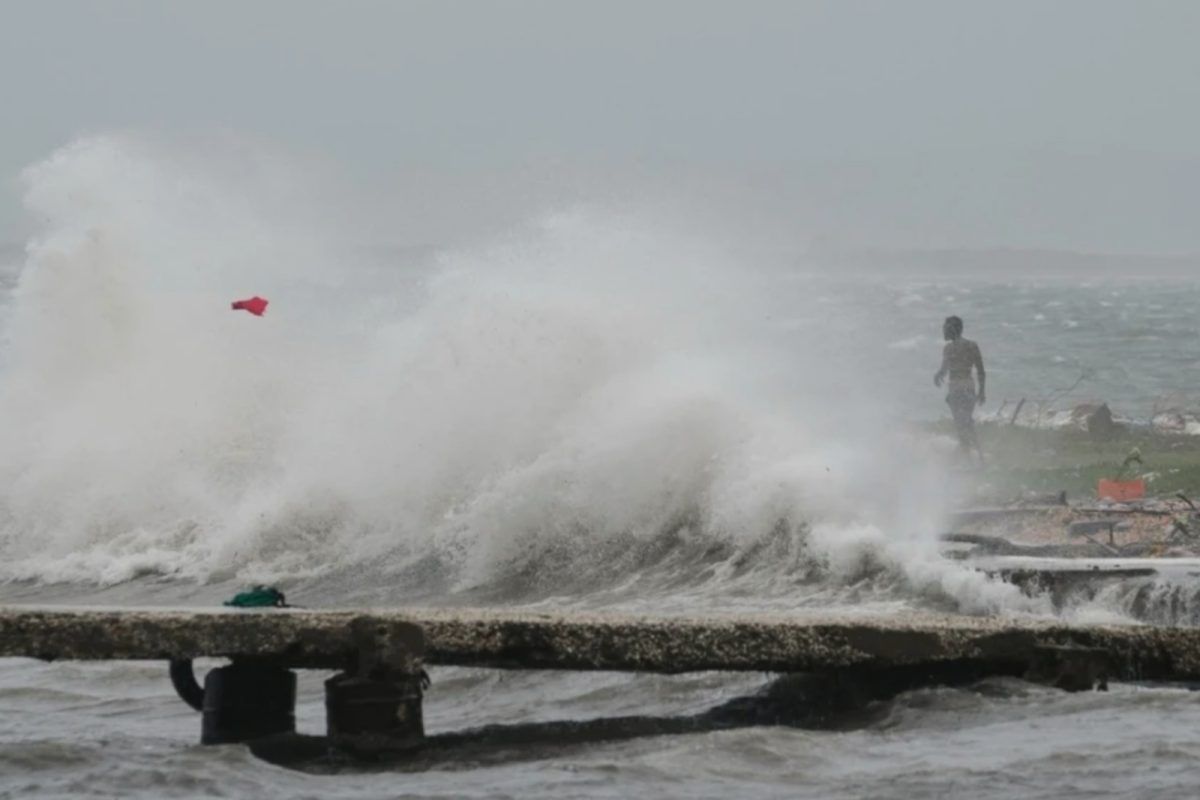 Τυφώνας «Μελίσσα»: Συναγερμός έχει σημάνει για κροκόδειλους στους δρόμους - Εικόνες αποκάλυψης
