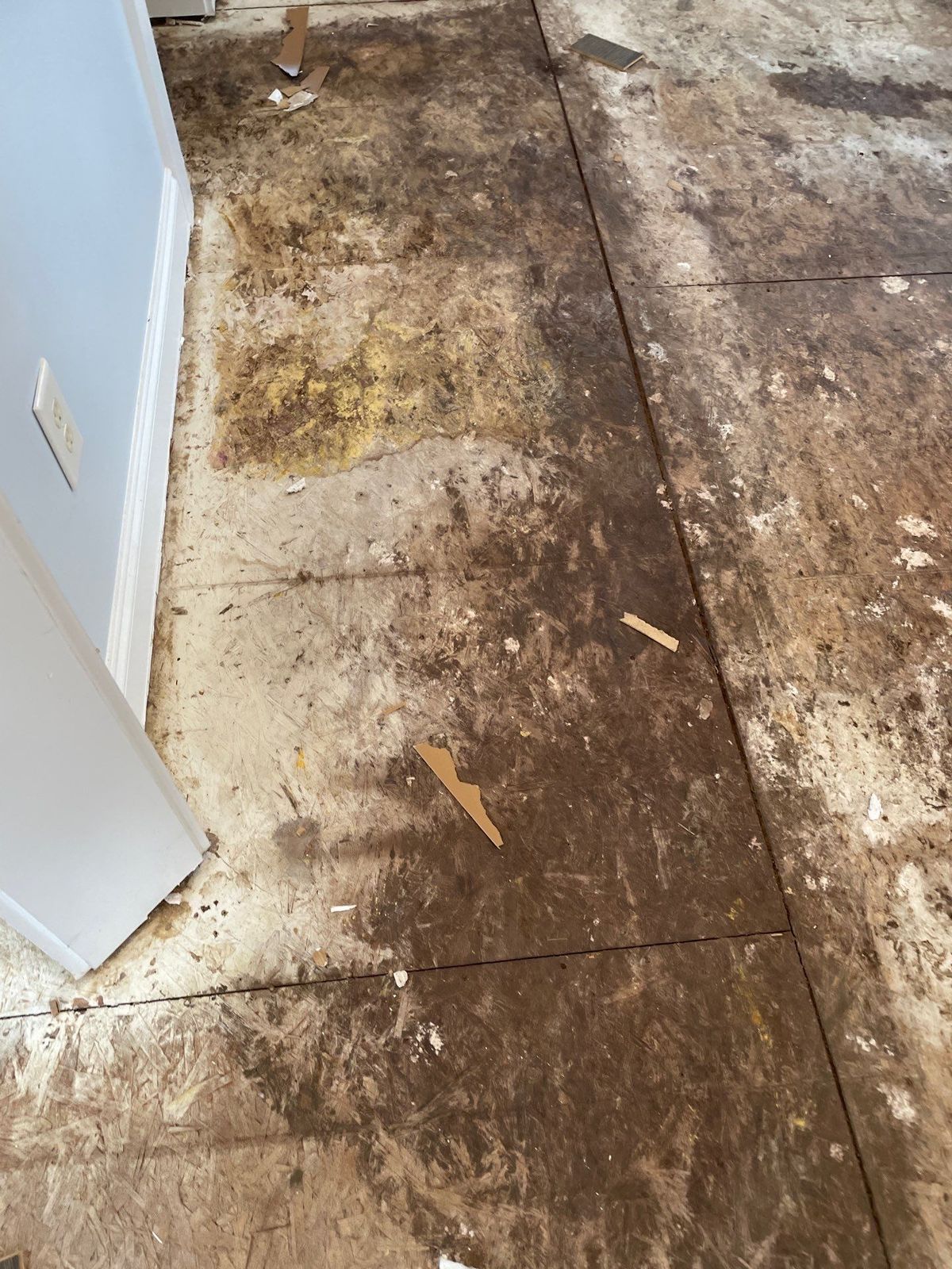 βρώμικο-πάτωμα-με-λάσπες- βρώμικο-πάτωμα-με-λάσπες-