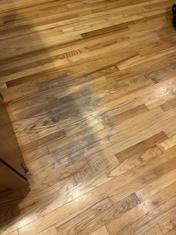 παρκέ-με-σκόνη- παρκέ-με-σκόνη-