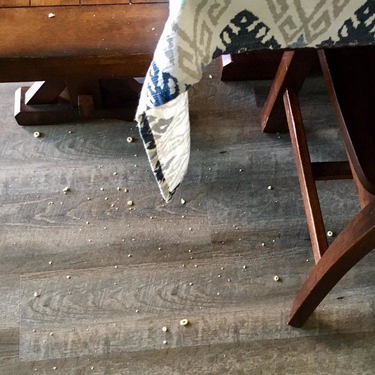 παρκέ-με-σκουπίδια- παρκέ-με-σκουπίδια-