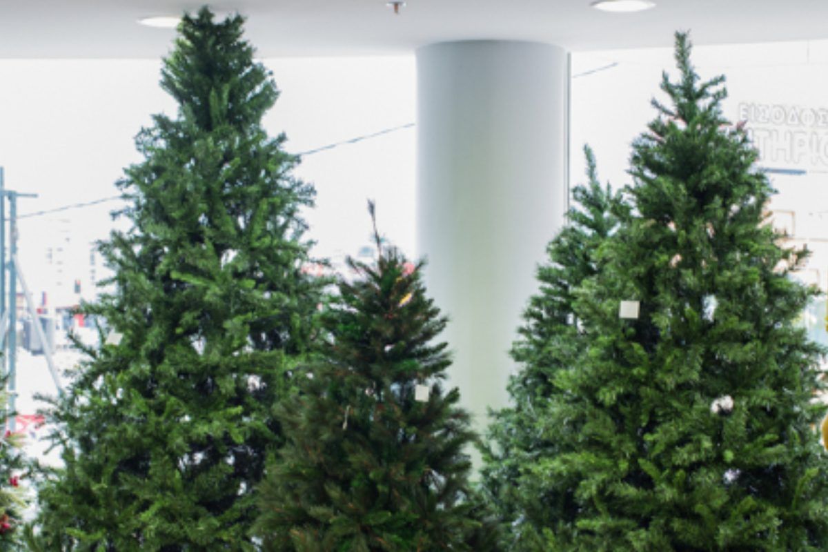 Χρήσιμα tips για την αγορά Χριστουγεννιάτικου δέντρου