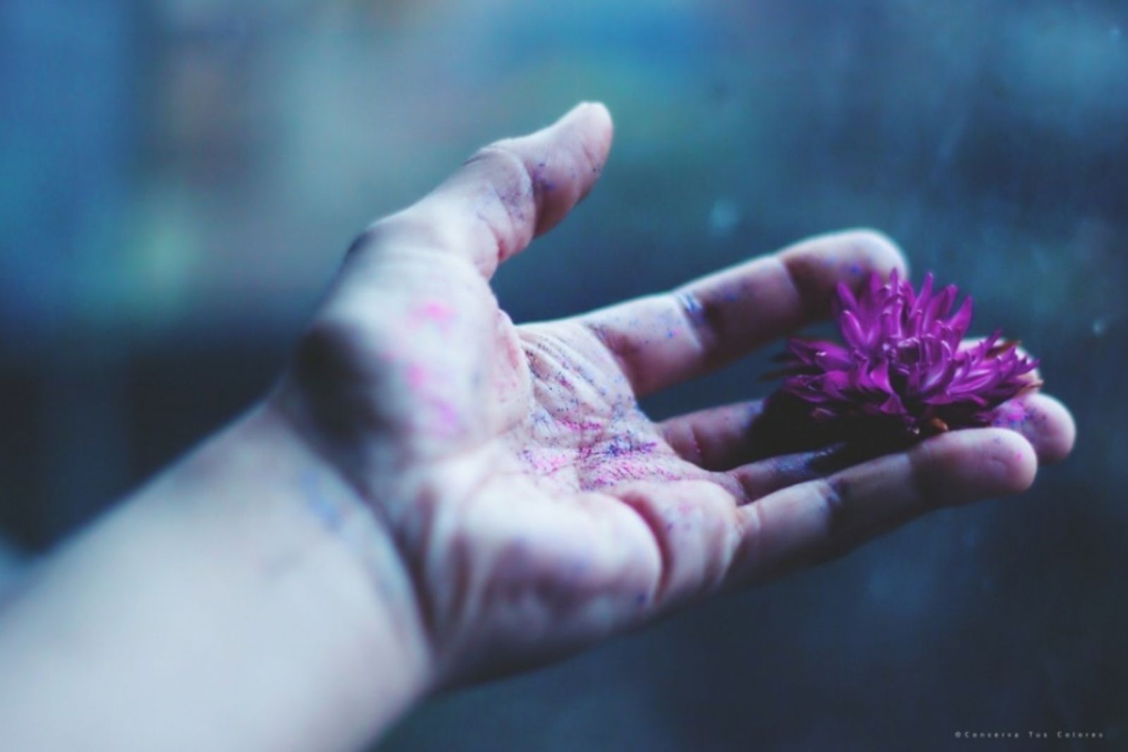 Ετήσιες προβλέψεις 2026: Τα ζώδια που θα γνωρίσουν μεγάλη επιτυχία στα επαγγελματικά τους το νέο έτος